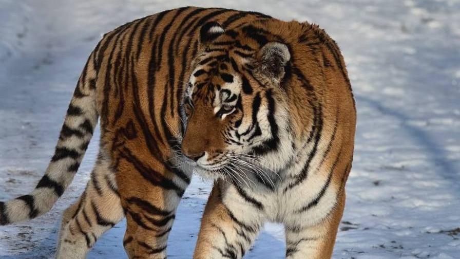 photo 2025 02 23 10 38 48