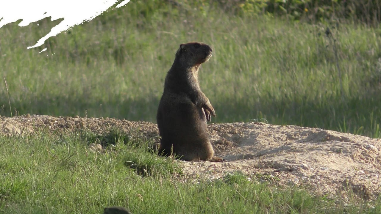 photo 2025 09 22 12 45 45