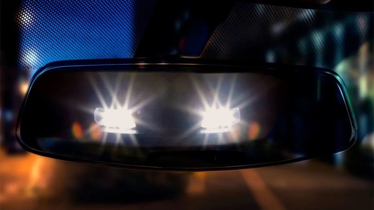 photo 2023 02 01 11 18 20