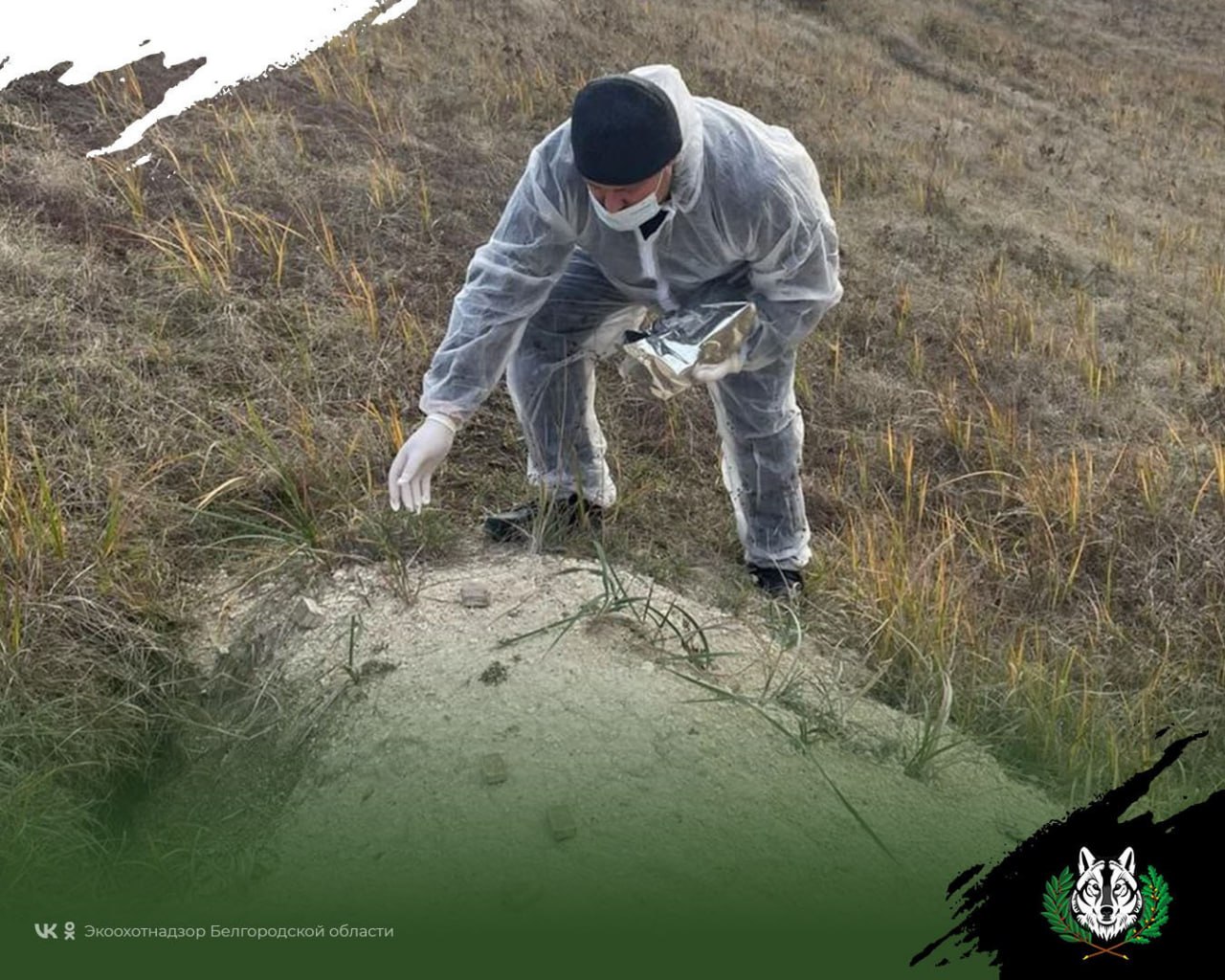 photo 2025 11 07 13 32 56