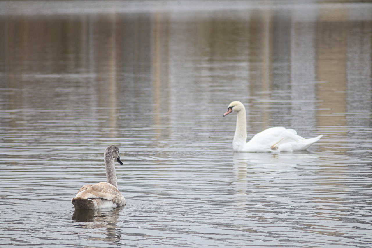 photo 2025 11 09 16 02 18 2