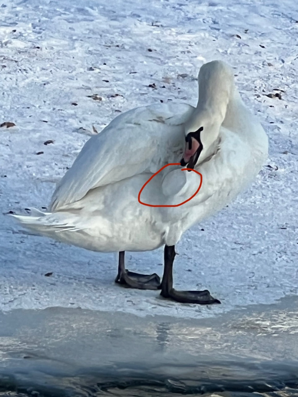 photo 2026 01 19 16 07 27