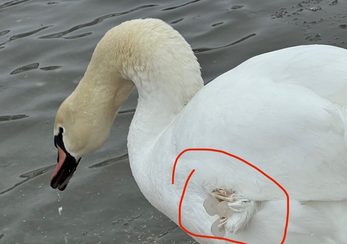 photo 2026 01 19 16 07 28