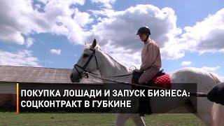 Покупка лошади и запуск бизнеса: соцконтракт в Губкине 