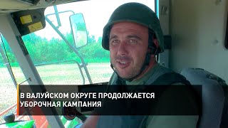 В Валуйском округе продолжается уборочная кампания