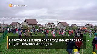 В Прохоровке парке новорождённых провели акцию «Правнуки Победы»