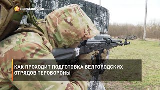Как проходит подготовка белгородских отрядов теробороны
