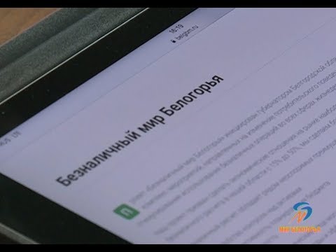 Первые итоги проекта «Безналичный мир Белогорья»