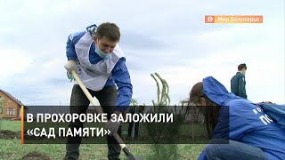 В Прохоровке заложили «Сад Памяти»