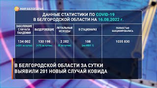В Белгородской области за сутки выявили 201 новый случай ковида