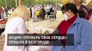 Акция «Проверь свое сердце» прошла в Белгороде