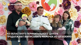 Из областного перинатального центра продолжают выписывать мамочек из Шебекино