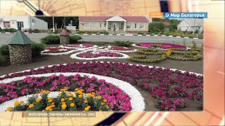 В белгородских сёлах благоустроят все дворы