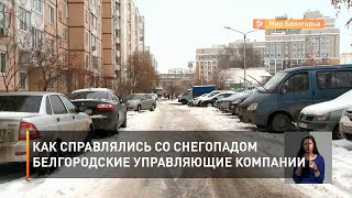 Как справлялись со снегопадом белгородские управляющие компании