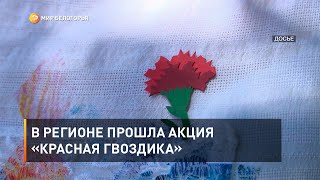В регионе прошла акция «Красная гвоздика»