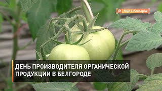 День производителя органической продукции в Белгороде