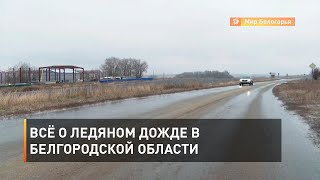 Всё о ледяном дожде в Белгородской области В Белгородской области вторые сутки идет ледяной дождь. Дороги и тротуары превратились в каток. Мы собрали наиболее полную информацию о ситуации: узнали у автоинспекторов, в каком состоянии сейчас белгородские до