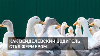 Как вейделевский водитель стал фермером