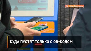 Куда пустят только с QR-кодом