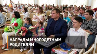 Награды многодетным родителям