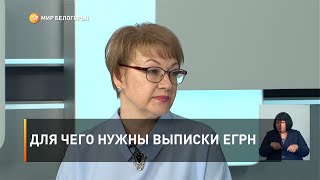 Для чего нужны выписки ЕГРН