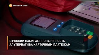 В России набирает популярность альтернатива карточным платежам