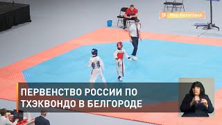 Первенство России по тхэквондо в Белгороде 