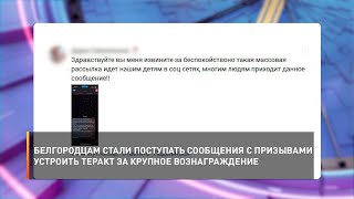 Белгородцам стали поступать сообщения с призывами устроить теракт за крупное вознаграждение