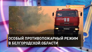 Особый противопожарный режим в Белгородской области 