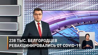 238 тыс. белгородцев ревакцинировались от COVID-19