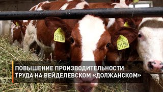 Повышение производительности труда на вейделевском «Должанском»