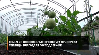 Семья из Новооскольского округа приобрела теплицы благодаря господдержке