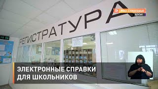 Электронные справки для школьников