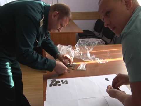 Попытка вывоза старинных монет