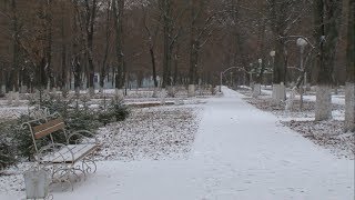 Новая детская площадка и парк в Губкинском округе 
