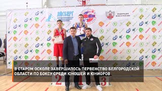 В Старом Осколе завершилось Первенство Белгородской области по боксу среди юношей и юниоров