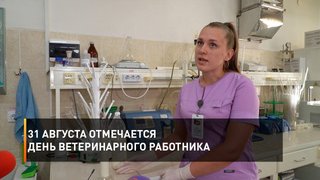 31 августа отмечается День ветеринарного работника