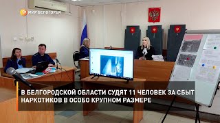 В Белгородской области судят 11 человек за сбыт наркотиков в особо крупном размере