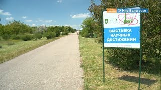 Неформальный день открытых дверей в БелГУ