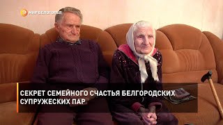 Секрет семейного счастья белгородских супружеских пар