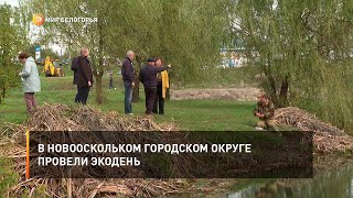В Новооскольком городском округе провели экодень