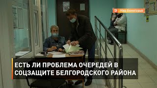 Есть ли проблема очередей в соцзащите Белгородского района