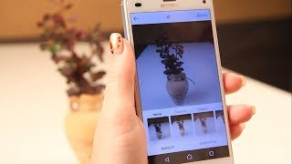 Какие смартфоны выбирают белгородцы
