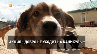 Акция «Добро не уходит на каникулы»