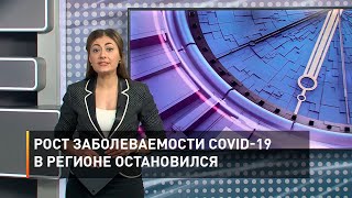 Рост заболеваемости COVID-19 в Белгородской области остановился