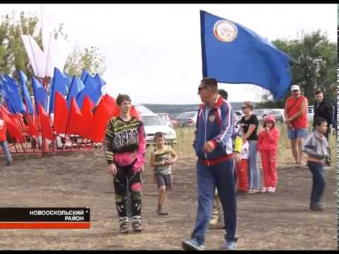 Белгородки принесли России серебро и бронзу на чемпионате Европы по плаванию