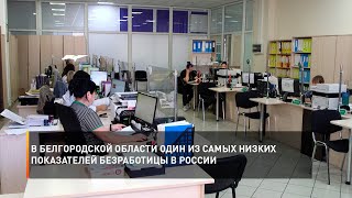 В Белгородской области один из самых низких показателей безработицы в России