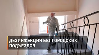 Дезинфекция белгородских подъездов 