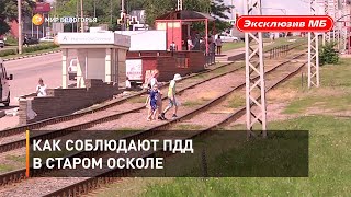 Как соблюдают ПДД в Старом Осколе