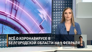 Всё о коронавирусе в Белгородской области на 1 февраля
